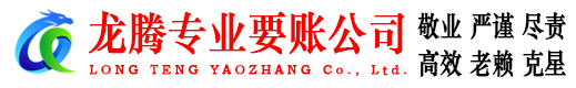 滨湖龙腾清债公司