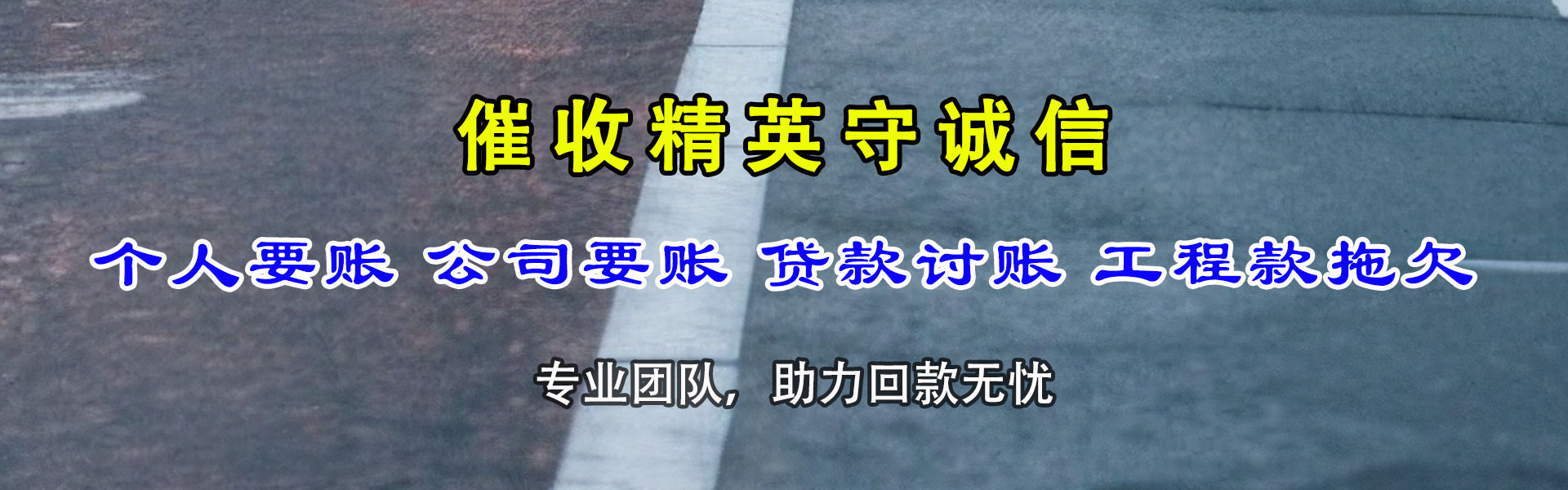 滨湖清债公司